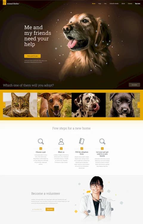 Animal Shelter — BeTheme