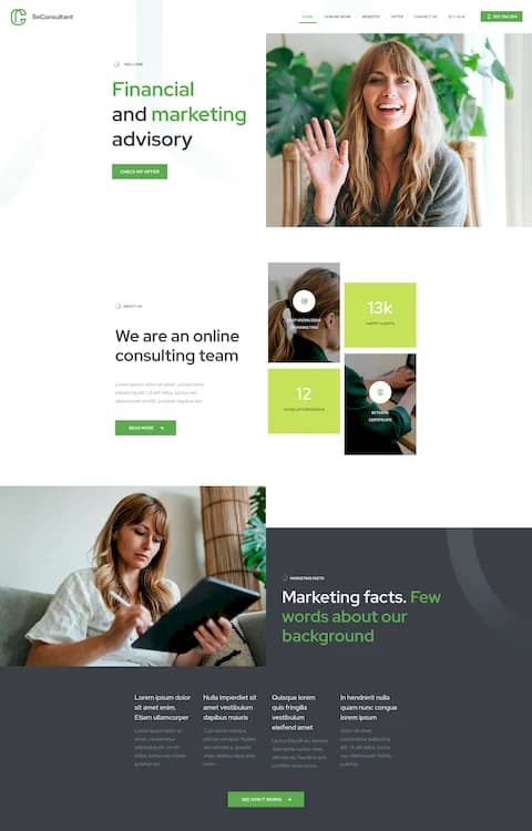 Consultant — BeTheme