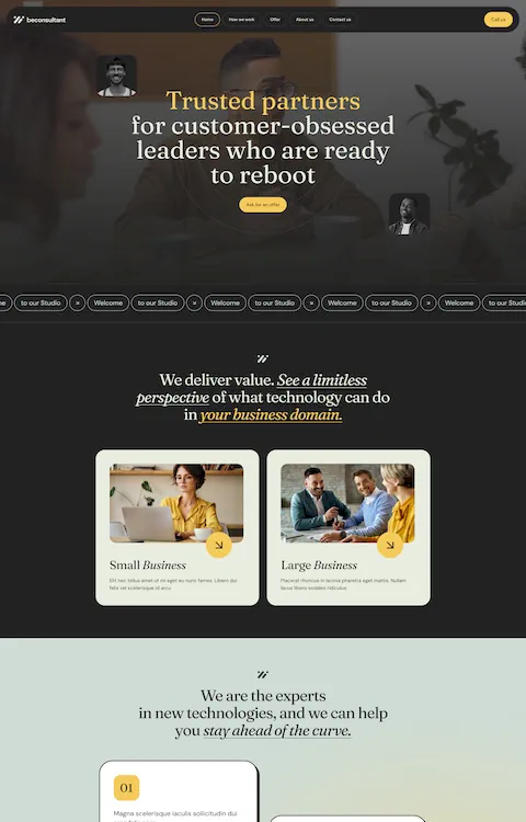 Consultant 3 — BeTheme