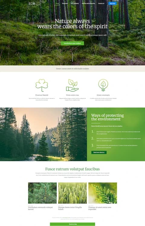 Eco — BeTheme