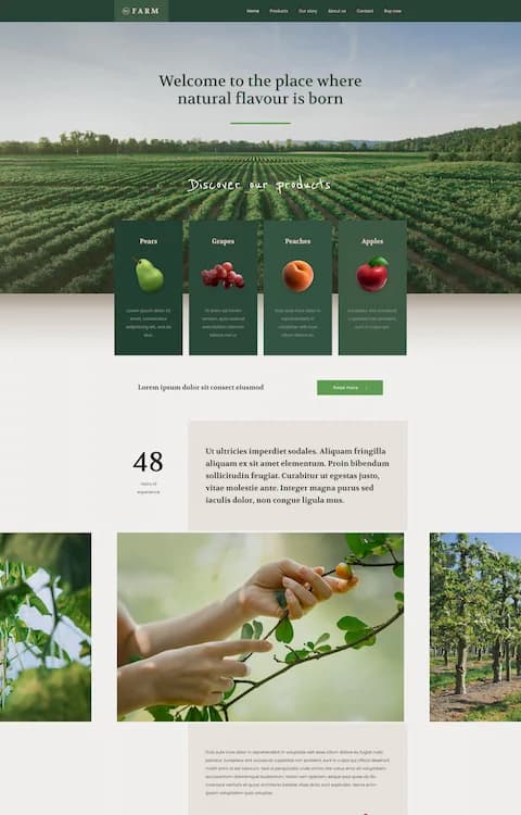 Farm 2 — BeTheme