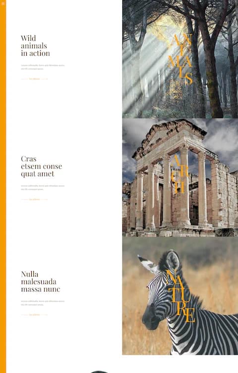 Story — BeTheme