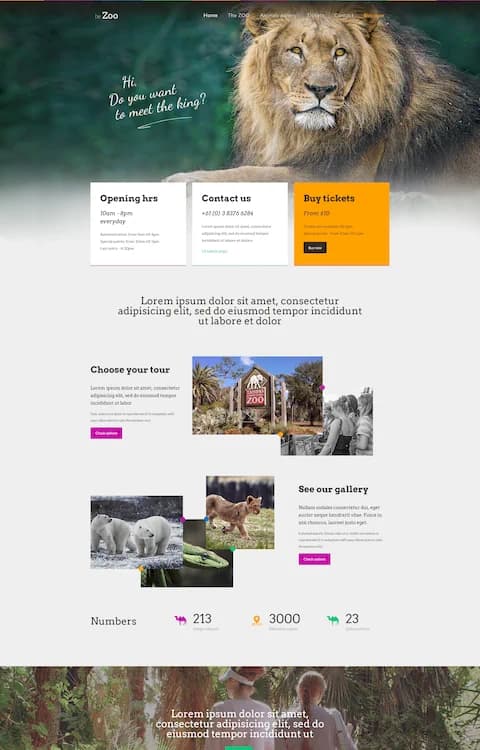 Zoo — BeTheme