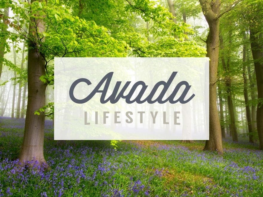 Lifestyle — Avada