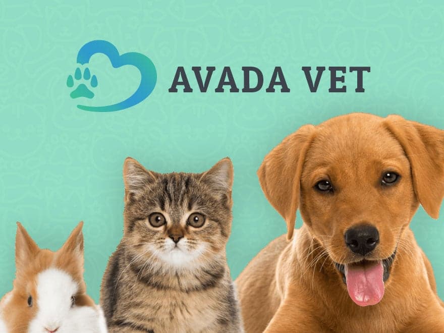 Veterinarian — Avada
