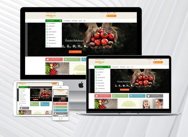 demo-ekrani-e-ticaret-yoresel