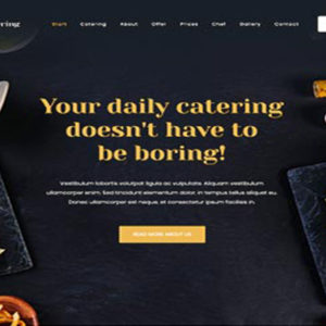 wordpress-firma-tanitim-web-tasarim-catering
